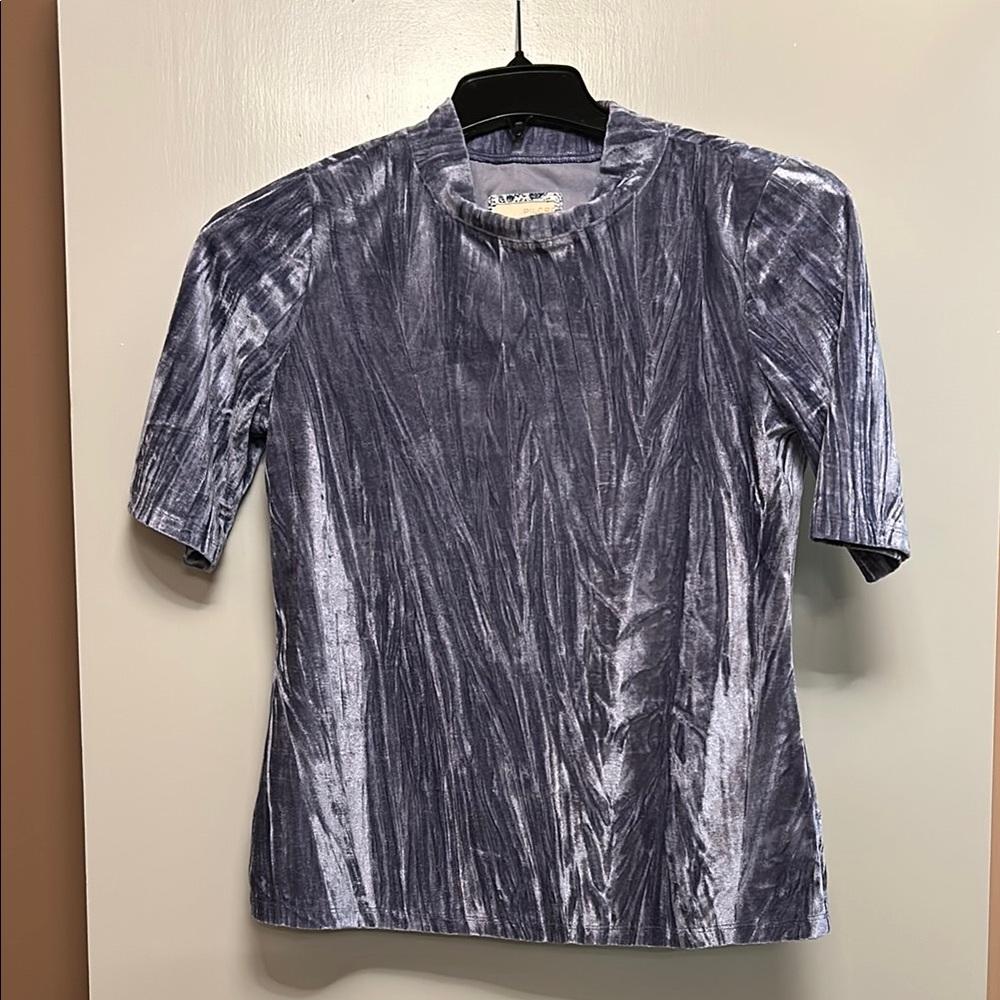 Velvet Short Sleeve Top in Purple